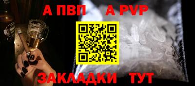 ешки Кингисепп