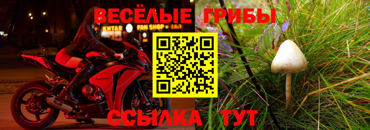 Сыктывкар  Галлюциногенные грибы прущие грибы  Галлюциногенные грибы Psilocybine cubensis  Вход с VPN 